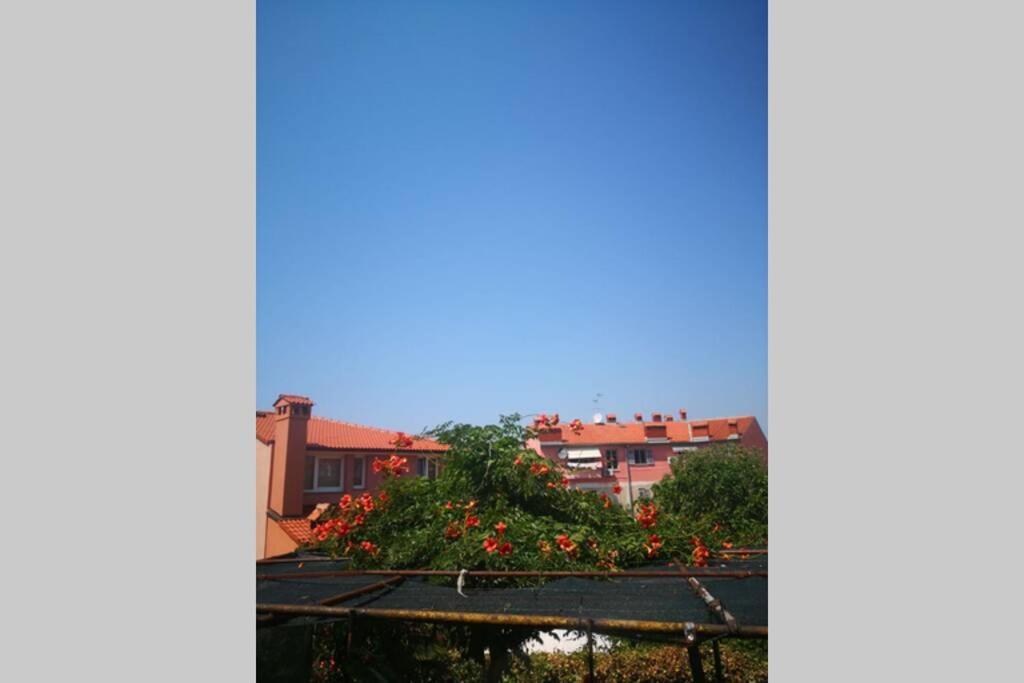 Apartament Casa Di Nonna Pina, Kuca U Blizini Arene Pula Zewnętrze zdjęcie